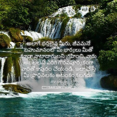 Picture 05 - 1 పేతురు పత్రిక 3:7 TELIRV - అలాగే భర్తలైన - Bible Verse Picture
