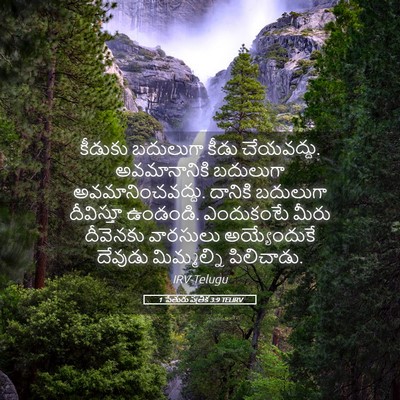 Picture 05 - 1 పేతురు పత్రిక 3:9 TELIRV - కీడుకు బదులుగా - Bible Verse Picture