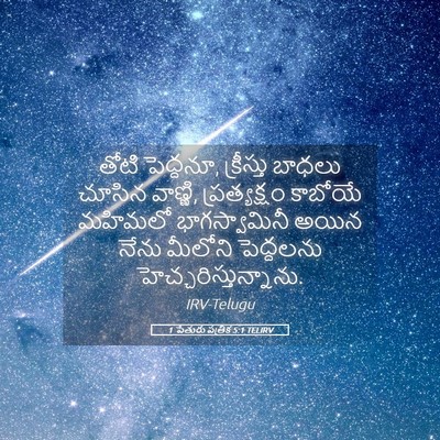 Picture 05 - 1 పేతురు పత్రిక 5:1 TELIRV - తోటి పెద్దనూ, - Bible Verse Picture