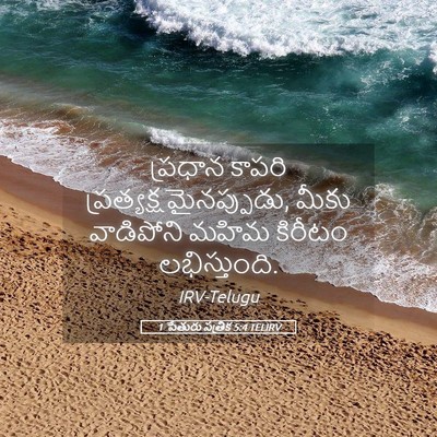 Picture 05 - 1 పేతురు పత్రిక 5:4 TELIRV - ప్రధాన కాపరి - Bible Verse Picture