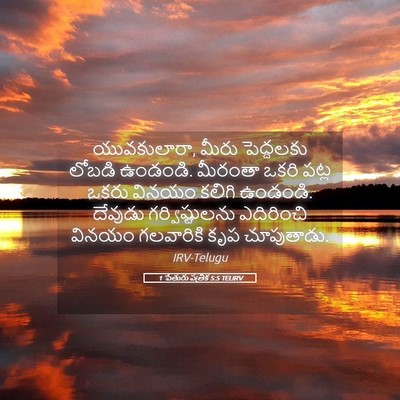 Picture 05 - 1 పేతురు పత్రిక 5:5 TELIRV - యువకులారా, మీరు - Bible Verse Picture