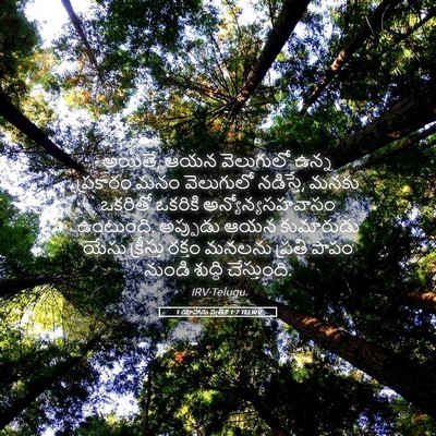 Picture 05 - 1 యోహాను పత్రిక 1:7 TELIRV - అయితే, ఆయన - Bible Verse Picture