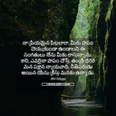 Picture 05 - 1 యోహాను పత్రిక 2:1 TELIRV - నా ప్రియమైన - Bible Verse Picture