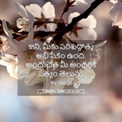 Picture 05 - 1 యోహాను పత్రిక 2:20 TELIRV - కాని, మీకు - Bible Verse Picture