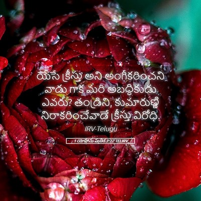 Picture 05 - 1 యోహాను పత్రిక 2:22 TELIRV - యేసే క్రీస్తు అని - Bible Verse Picture