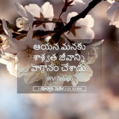 Picture 05 - 1 యోహాను పత్రిక 2:25 TELIRV - ఆయన మనకు శాశ్వత - Bible Verse Picture