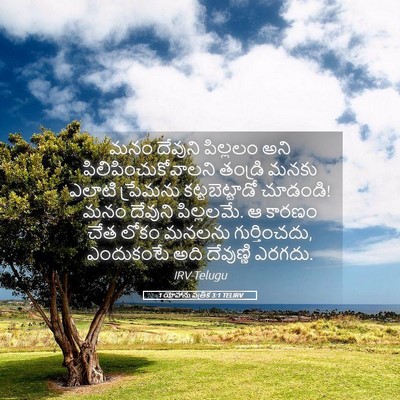 Picture 05 - 1 యోహాను పత్రిక 3:1 TELIRV - మనం దేవుని - Bible Verse Picture