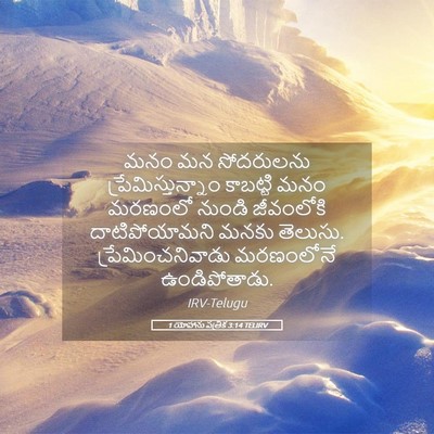 Picture 05 - 1 యోహాను పత్రిక 3:14 TELIRV - మనం మన సోదరులను - Bible Verse Picture