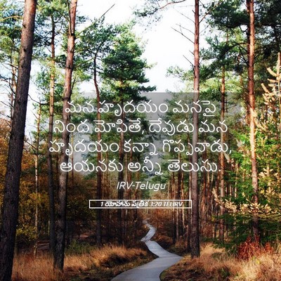 Picture 05 - 1 యోహాను పత్రిక 3:20 TELIRV - మన హృదయం మనపై నింద - Bible Verse Picture