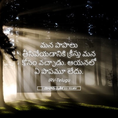Picture 05 - 1 యోహాను పత్రిక 3:5 TELIRV - మన పాపాలు - Bible Verse Picture