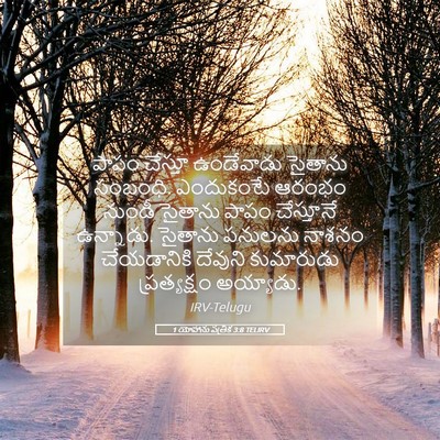 Picture 05 - 1 యోహాను పత్రిక 3:8 TELIRV - పాపం చేస్తూ - Bible Verse Picture