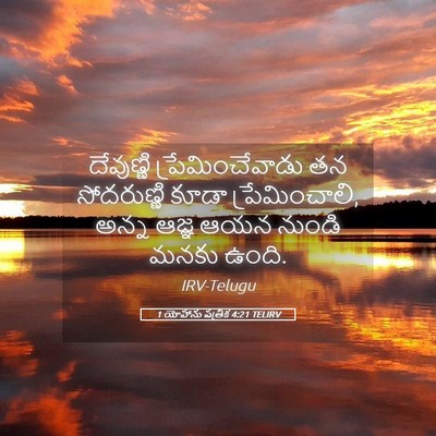 Picture 05 - 1 యోహాను పత్రిక 4:21 TELIRV - దేవుణ్ణి - Bible Verse Picture