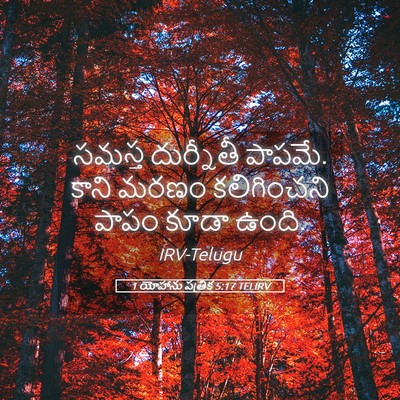 Picture 05 - 1 యోహాను పత్రిక 5:17 TELIRV - సమస్త దుర్నీతీ - Bible Verse Picture