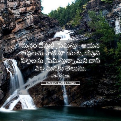 Picture 05 - 1 యోహాను పత్రిక 5:2 TELIRV - మనం దేవుణ్ణి - Bible Verse Picture