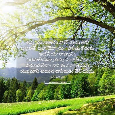 Picture 05 - 1 రాజులు 1:11 TELIRV - అప్పుడు నాతాను - Bible Verse Picture