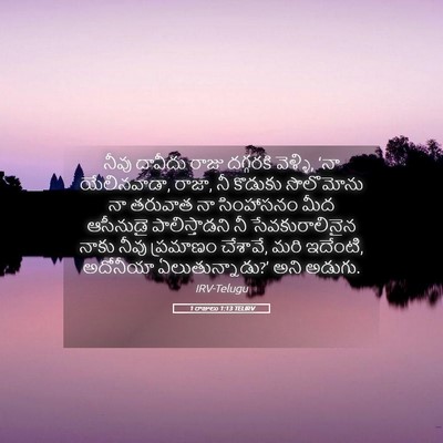 Picture 05 - 1 రాజులు 1:13 TELIRV - నీవు దావీదు రాజు - Bible Verse Picture