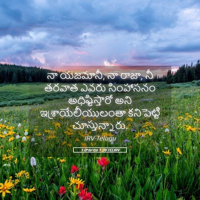 Picture 05 - 1 రాజులు 1:20 TELIRV - నా యజమానీ, నా రాజా, - Bible Verse Picture