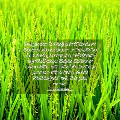 Picture 05 - 1 రాజులు 1:30 TELIRV - ‘తప్పకుండా నీ - Bible Verse Picture