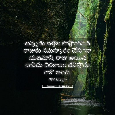 Picture 05 - 1 రాజులు 1:31 TELIRV - అప్పుడు బత్షెబ - Bible Verse Picture