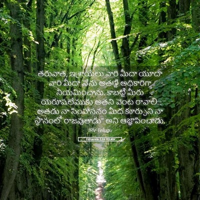 Picture 05 - 1 రాజులు 1:35 TELIRV - తరువాత, ఇశ్రాయేలు - Bible Verse Picture