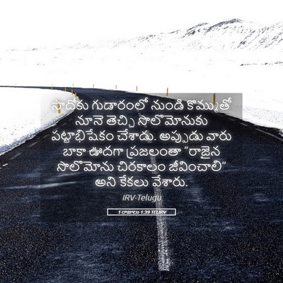 Picture 05 - 1 రాజులు 1:39 TELIRV - సాదోకు గుడారంలో - Bible Verse Picture