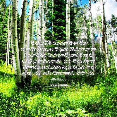 Picture 05 - 1 రాజులు 1:48 TELIRV - ‘నేను బతికి - Bible Verse Picture