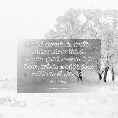 Picture 05 - 1 రాజులు 1:8 TELIRV - అయితే యాజకుడు - Bible Verse Picture