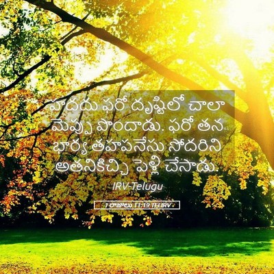 Picture 05 - 1 రాజులు 11:19 TELIRV - హదదు ఫరో దృష్టిలో - Bible Verse Picture