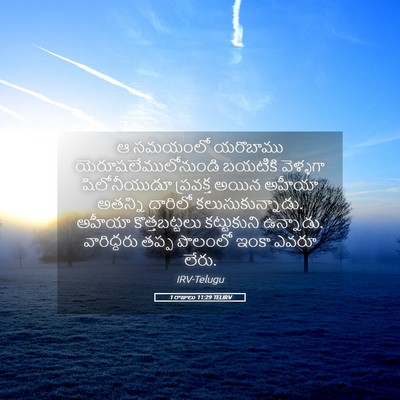 Picture 05 - 1 రాజులు 11:29 TELIRV - ఆ సమయంలో యరొబాము - Bible Verse Picture