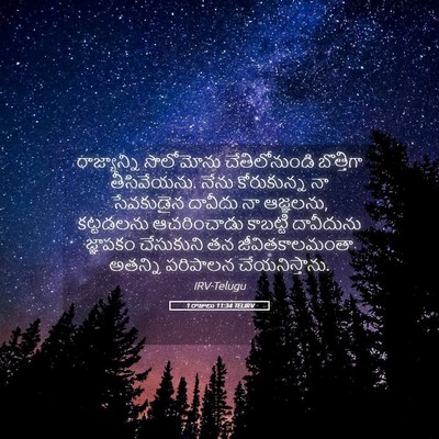 Picture 05 - 1 రాజులు 11:34 TELIRV - రాజ్యాన్ని - Bible Verse Picture