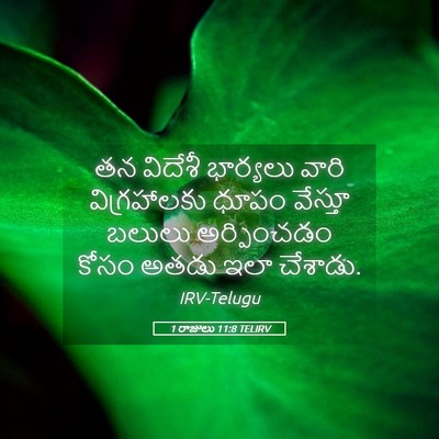 Picture 05 - 1 రాజులు 11:8 TELIRV - తన విదేశీ భార్యలు - Bible Verse Picture