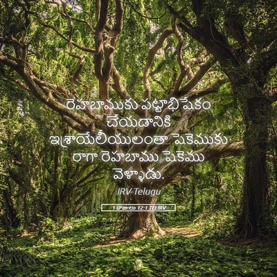 Picture 05 - 1 రాజులు 12:1 TELIRV - రెహబాముకు - Bible Verse Picture
