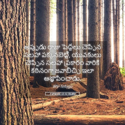 Picture 05 - 1 రాజులు 12:13 TELIRV - అప్పుడు రాజు - Bible Verse Picture