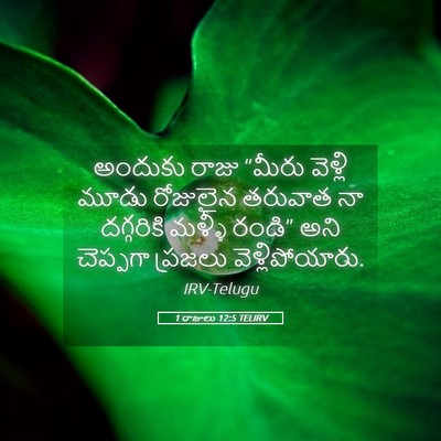 Picture 05 - 1 రాజులు 12:5 TELIRV - అందుకు రాజు “మీరు - Bible Verse Picture