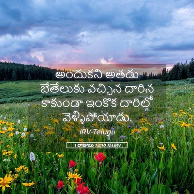 Picture 05 - 1 రాజులు 13:10 TELIRV - అందుకని అతడు - Bible Verse Picture