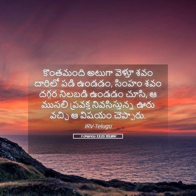 Picture 05 - 1 రాజులు 13:25 TELIRV - కొంతమంది అటుగా - Bible Verse Picture