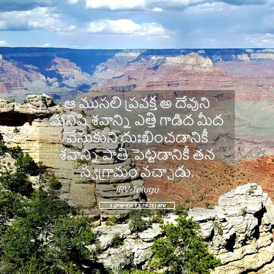 Picture 05 - 1 రాజులు 13:29 TELIRV - ఆ ముసలి ప్రవక్త అ - Bible Verse Picture