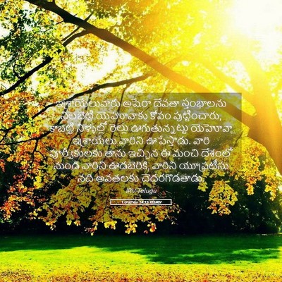 Picture 05 - 1 రాజులు 14:15 TELIRV - ఇశ్రాయేలువారు - Bible Verse Picture