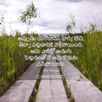 Picture 05 - 1 రాజులు 14:17 TELIRV - అప్పుడు యరొబాము - Bible Verse Picture