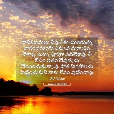 Picture 05 - 1 రాజులు 14:9 TELIRV - దానికి బదులు నీవు - Bible Verse Picture