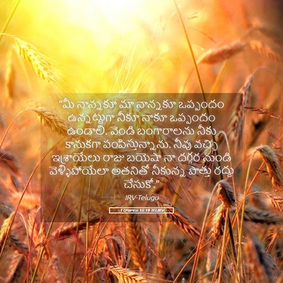 Picture 05 - 1 రాజులు 15:19 TELIRV - “మీ నాన్నకూ మా - Bible Verse Picture