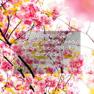 Picture 05 - 1 రాజులు 16:25 TELIRV - ఒమ్రీ యెహోవా - Bible Verse Picture