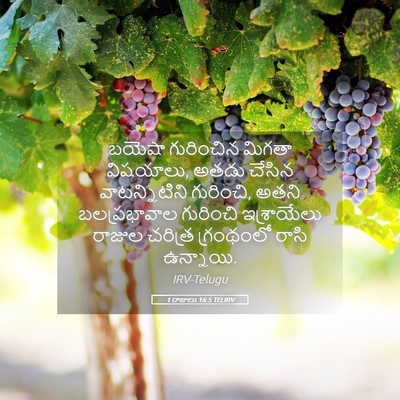 Picture 05 - 1 రాజులు 16:5 TELIRV - బయెషా గురించిన - Bible Verse Picture