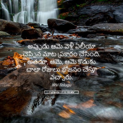 Picture 05 - 1 రాజులు 17:15 TELIRV - అప్పుడు ఆమె - Bible Verse Picture