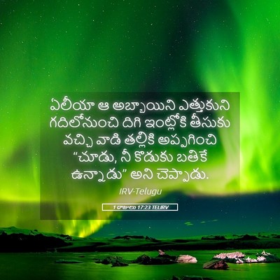 Picture 05 - 1 రాజులు 17:23 TELIRV - ఏలీయా ఆ అబ్బాయిని - Bible Verse Picture