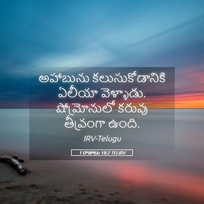 Picture 05 - 1 రాజులు 18:2 TELIRV - అహాబును - Bible Verse Picture
