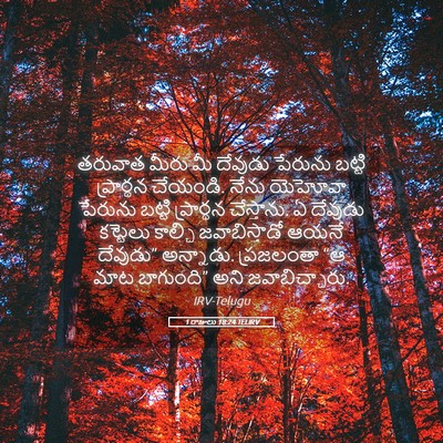 Picture 05 - 1 రాజులు 18:24 TELIRV - తరువాత మీరు మీ - Bible Verse Picture