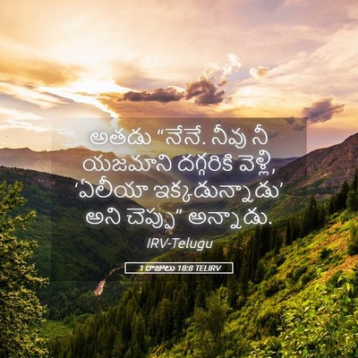 Picture 05 - 1 రాజులు 18:8 TELIRV - అతడు “నేనే. నీవు నీ - Bible Verse Picture