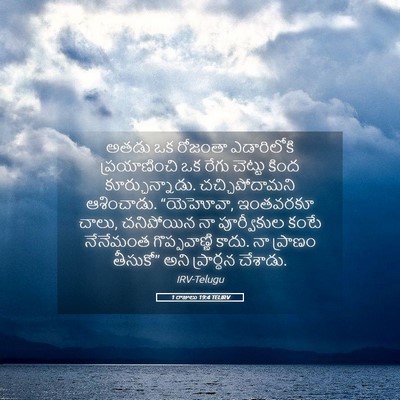 Picture 05 - 1 రాజులు 19:4 TELIRV - అతడు ఒక రోజంతా - Bible Verse Picture