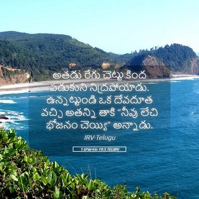 Picture 05 - 1 రాజులు 19:5 TELIRV - అతడు రేగు చెట్టు - Bible Verse Picture